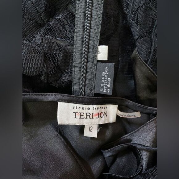 Teri Jon by Rickie Freeman Lace Pintuck Dress size 12 - Picture 11 of 11